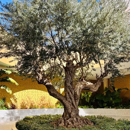 Apartman Sky Intempo & *